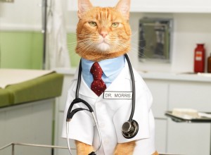 veterinarijos klinika Vilniuje