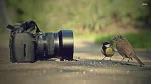 fotosesiju fotografavimas