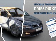 vin istorija
