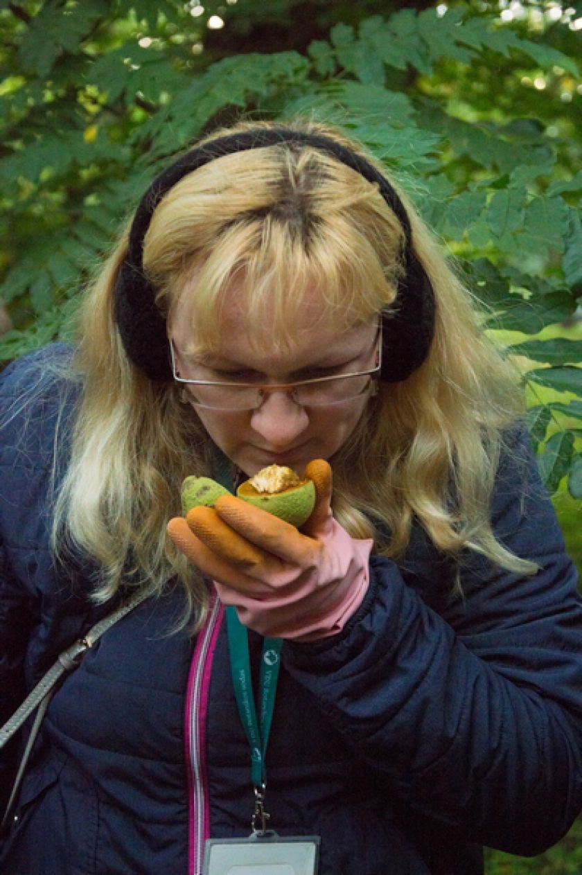 Riešutmedžių giraitėje kvietė pažinti neatrastą skonį
