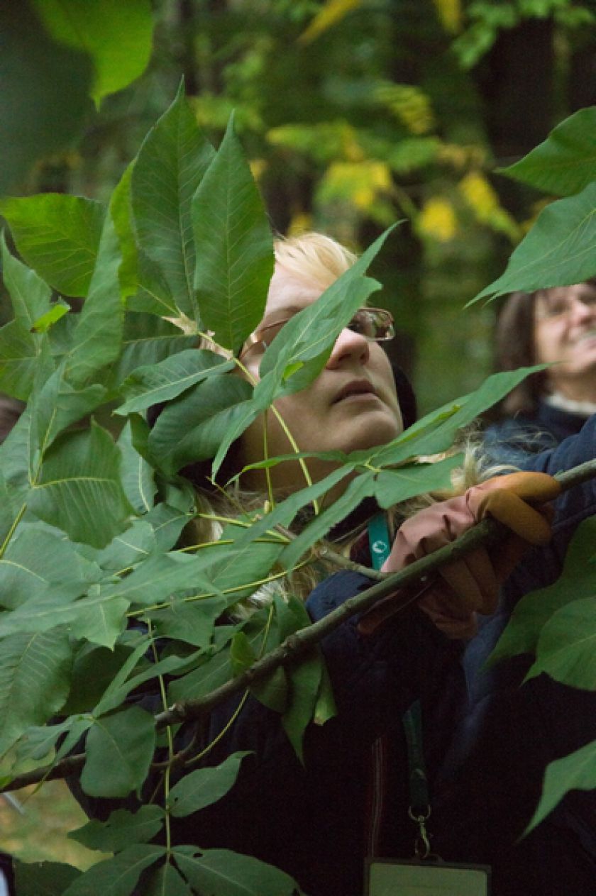 Riešutmedžių giraitėje kvietė pažinti neatrastą skonį