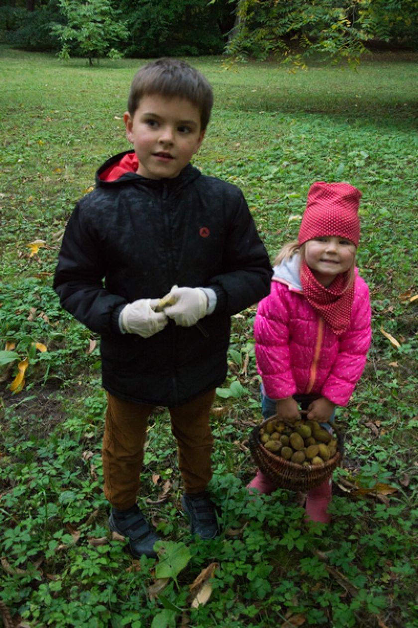 Riešutmedžių giraitėje kvietė pažinti neatrastą skonį