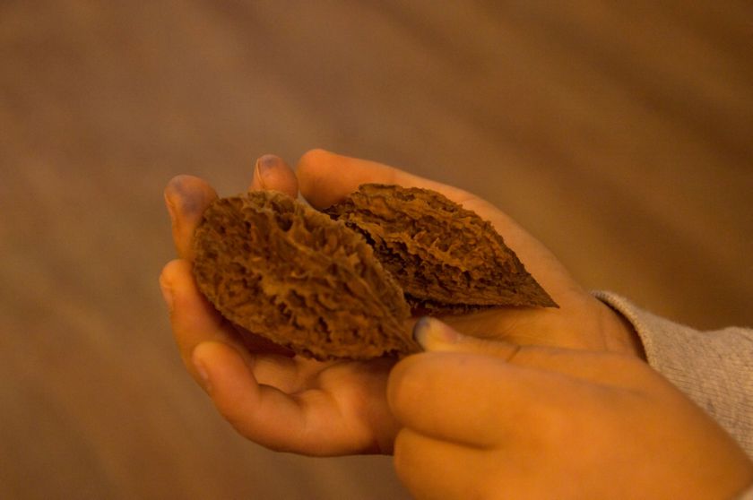 Riešutmedžių giraitėje kvietė pažinti neatrastą skonį