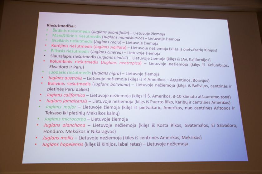 Riešutmedžių giraitėje kvietė pažinti neatrastą skonį