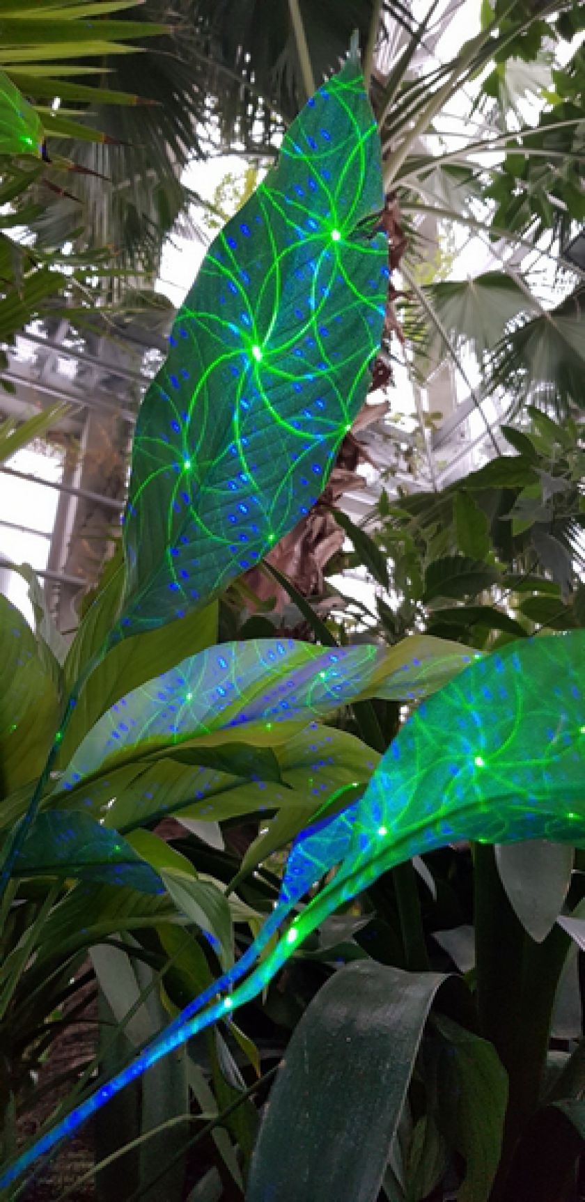 Didžiausią Lietuvoje oranžeriją užlies muzikos garsai ir spalvos