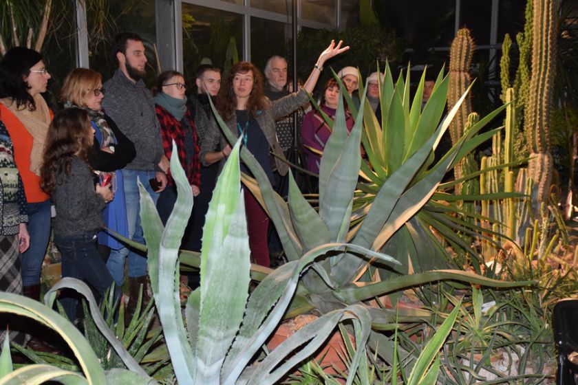 Didžiausią Lietuvoje oranžeriją užlies muzikos garsai ir spalvos