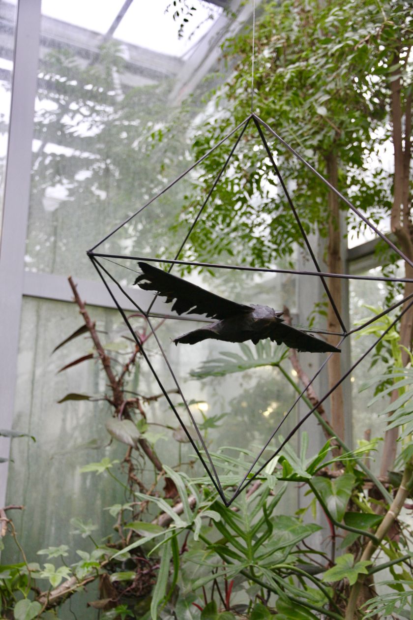 Adventinio laikotarpio jungtys: atidarytos dvi parodos didžiausioje šalies oranžerijoje