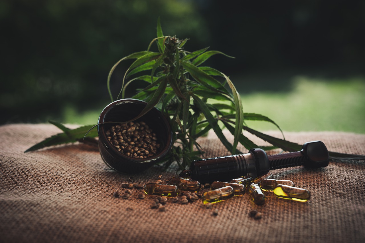 CBD aliejus