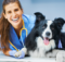 veterinarijos klinika