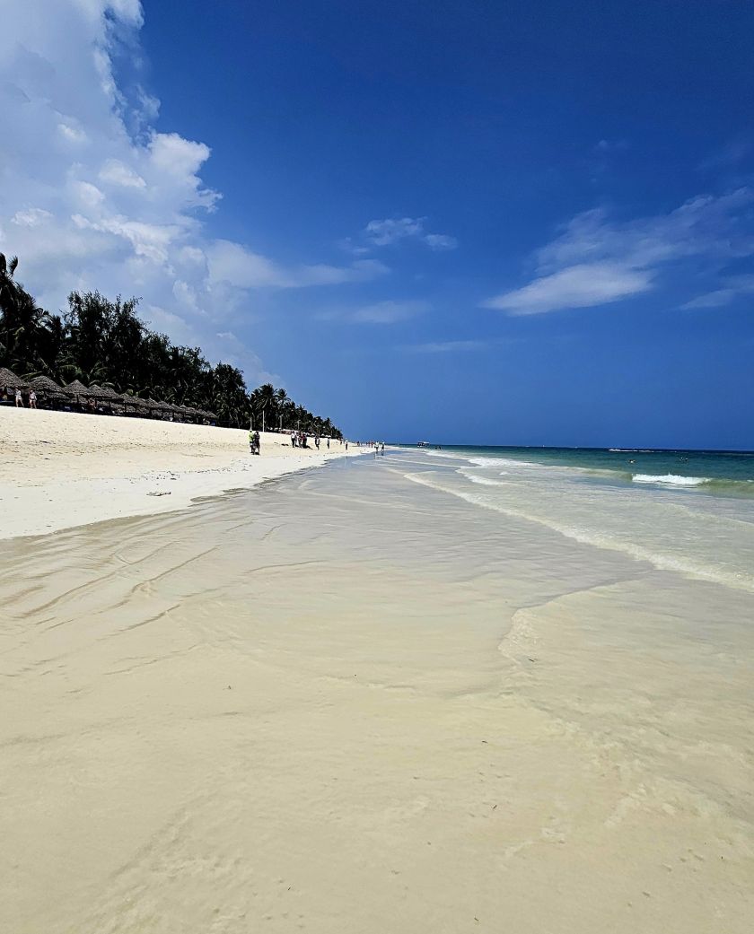 
Įstabaus grožio gamta, įspūdingas safaris ir pažintis su beždžionių policija: kuo Saugirdui Vaitulioniui įsiminė kelionė į Keniją?                