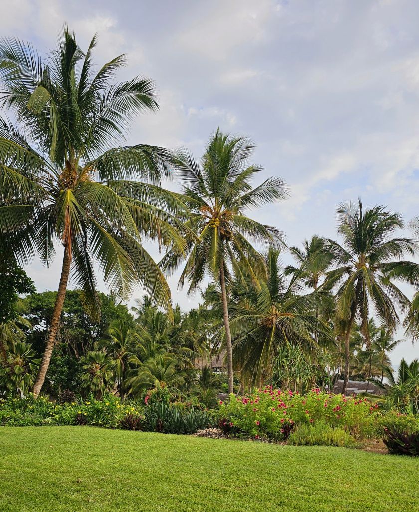 
Įstabaus grožio gamta, įspūdingas safaris ir pažintis su beždžionių policija: kuo Saugirdui Vaitulioniui įsiminė kelionė į Keniją?                