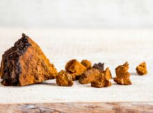 Chaga ekstraktas