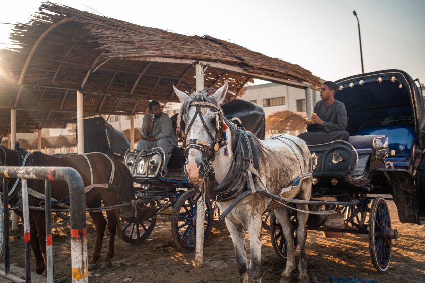 
Kruizinės kelionės Nilu: galimybė atrasti neturistinį, gamtos ir istoriniais turtais apdovanotą Egiptą                