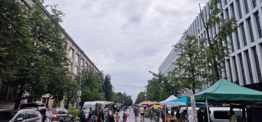 
Naujamiestis: tvarkymas tik dabar pasivijo populiarumą                