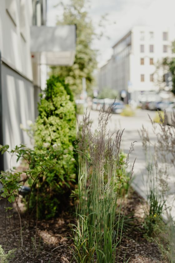 
Naujamiestis: tvarkymas tik dabar pasivijo populiarumą                