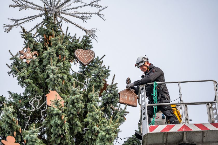 Kaunas pristatė meduoliais puošiamą kalėdinę eglutę: sužibs per 40 tūkst. švieselių