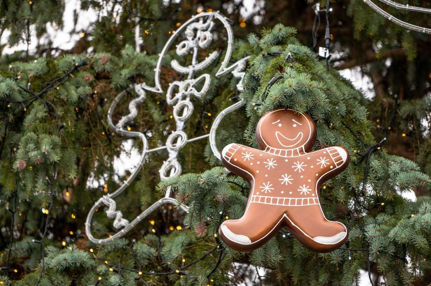 Kaunas pristatė meduoliais puošiamą kalėdinę eglutę: sužibs per 40 tūkst. švieselių