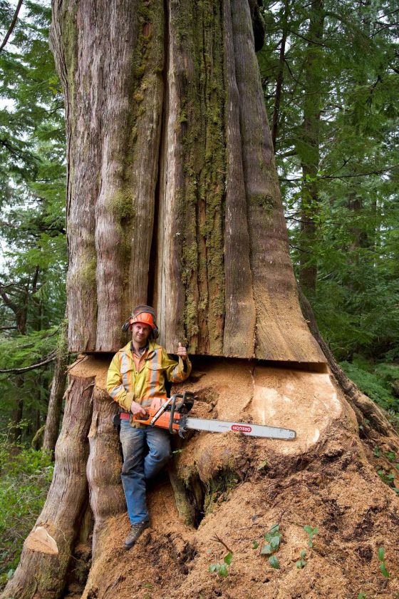 Adrenalino mėgėjams – pavojų kupina medkirčių kasdienybė naujoje „discovery+“ laidoje