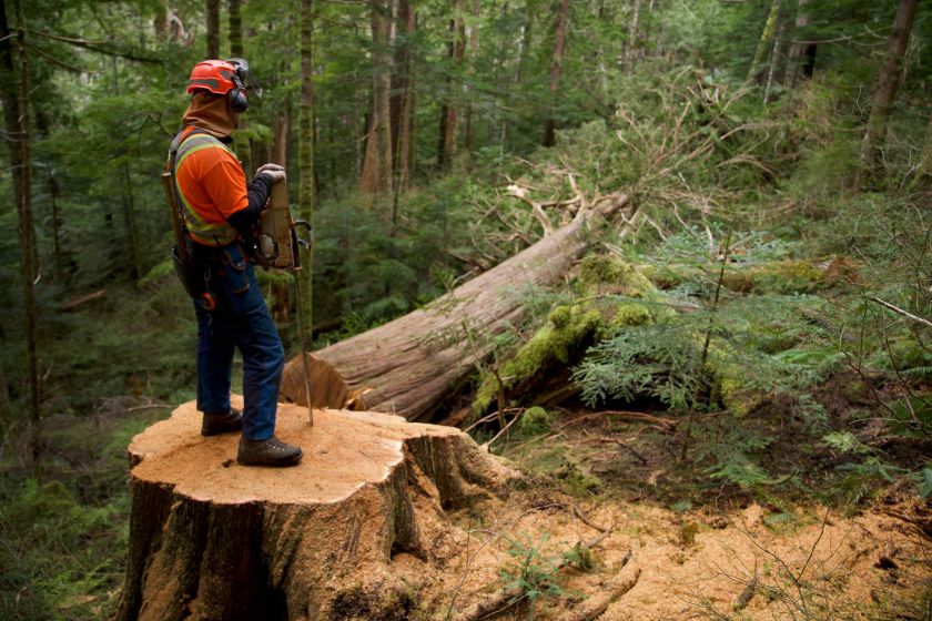 Adrenalino mėgėjams – pavojų kupina medkirčių kasdienybė naujoje „discovery+“ laidoje