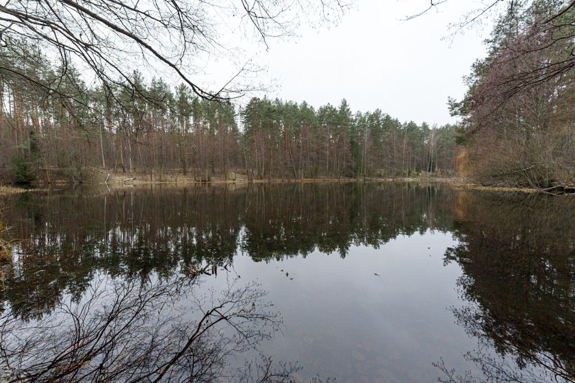 Druskininkuose tikra kalėdinė žygiavimo šventė: šeštadienį „TrenkTuro” žygeiviai užkūrė šventinį karnavalą