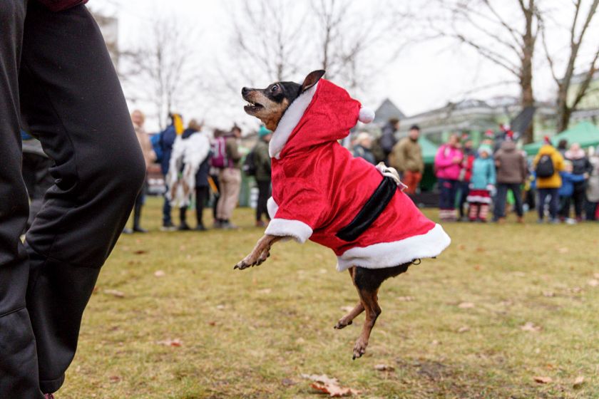Druskininkuose tikra kalėdinė žygiavimo šventė: šeštadienį „TrenkTuro” žygeiviai užkūrė šventinį karnavalą