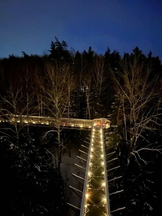 Šviesos diena Medžių lajų take – unikalus renginys, kurį galėsite patirti tik vieną kartą metuose