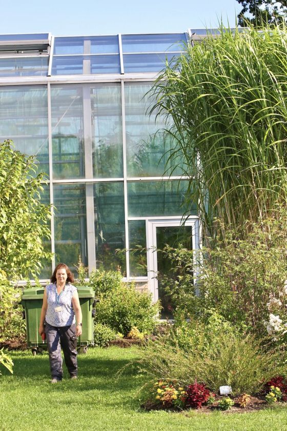 Turtingoje miskantų kolekcijoje – ir oranžeriją praaugę milžinai