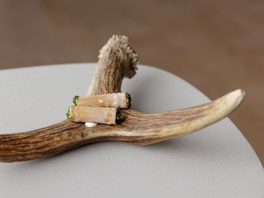 Dzūkijos miško gilumoje – 7,5 mln. investicijos. Duris atveria nauja lėto poilsio, SPA ir išskirtinių maisto patirčių vieta