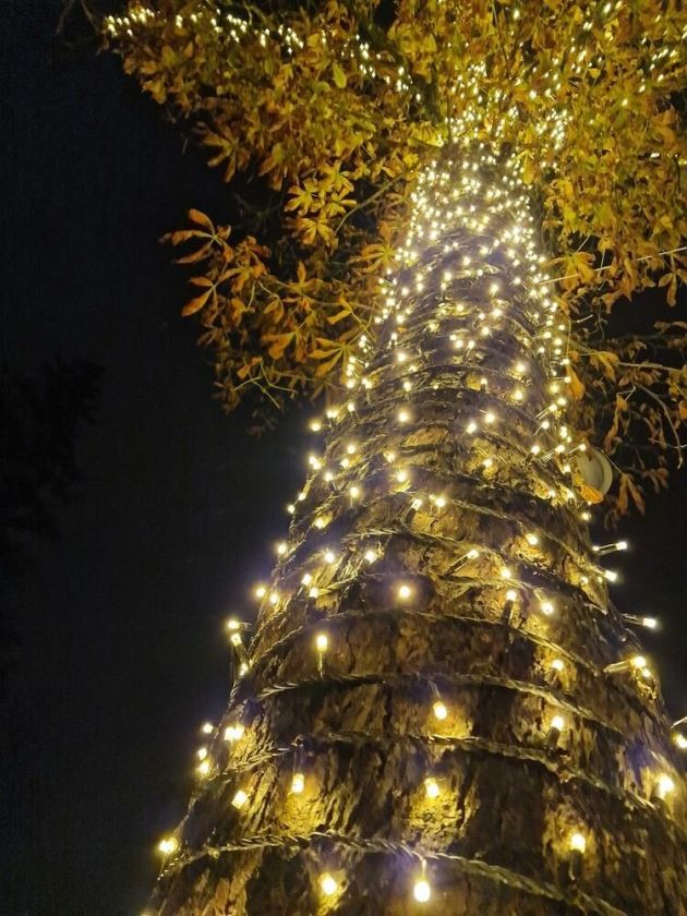 Savaitgalį Birštone nušvis moliūgų sodas – kurortas jaukiai minės rudens šventes