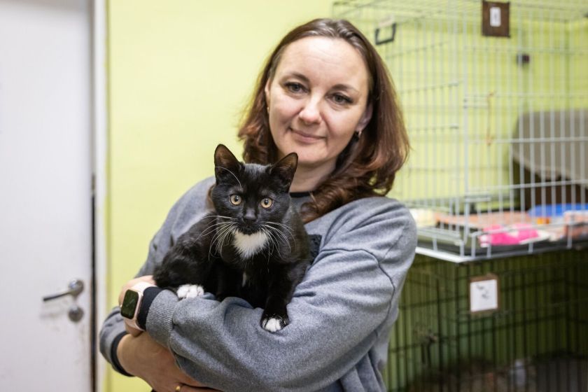 Dešimtmetį mininti „Pet Rescue Finland“ organizacija namus Suomijoje surado jau daugiau nei 2300 Lietuvos prieglaudų šunų