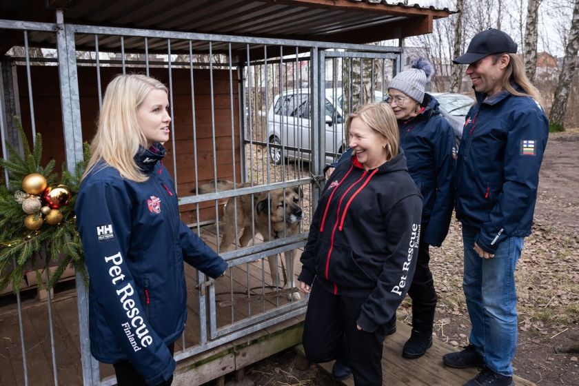 Dešimtmetį mininti „Pet Rescue Finland“ organizacija namus Suomijoje surado jau daugiau nei 2300 Lietuvos prieglaudų šunų